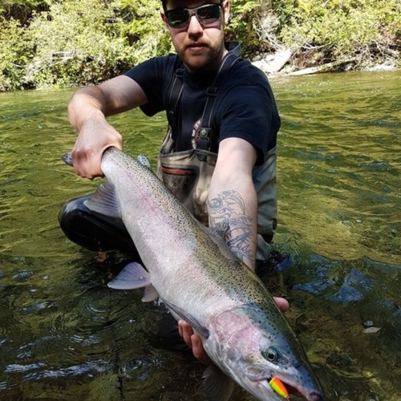 Meet your Posher, Kurt - Picture 1 of 1